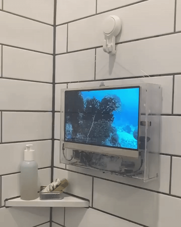 ShowerTVSplash